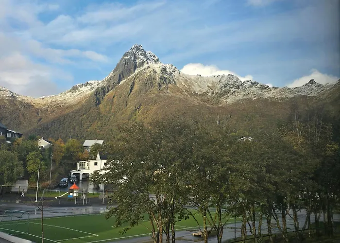 M&r Lofoten 公寓 斯沃尔韦尔